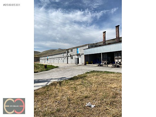 Beypazari Nda Faal 60 000 Kapasiteli Kiralik Tavuk Ciftligi Sahibinden Comda 958985301 Beypazari Nda Faal 60 000 Kapasiteli Kiralik Tavuk Ciftligi Sahibinden Comda 958985301