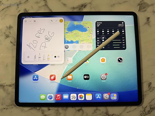 Apple iPad Pro 5 256 GB Tablet - 1307985307