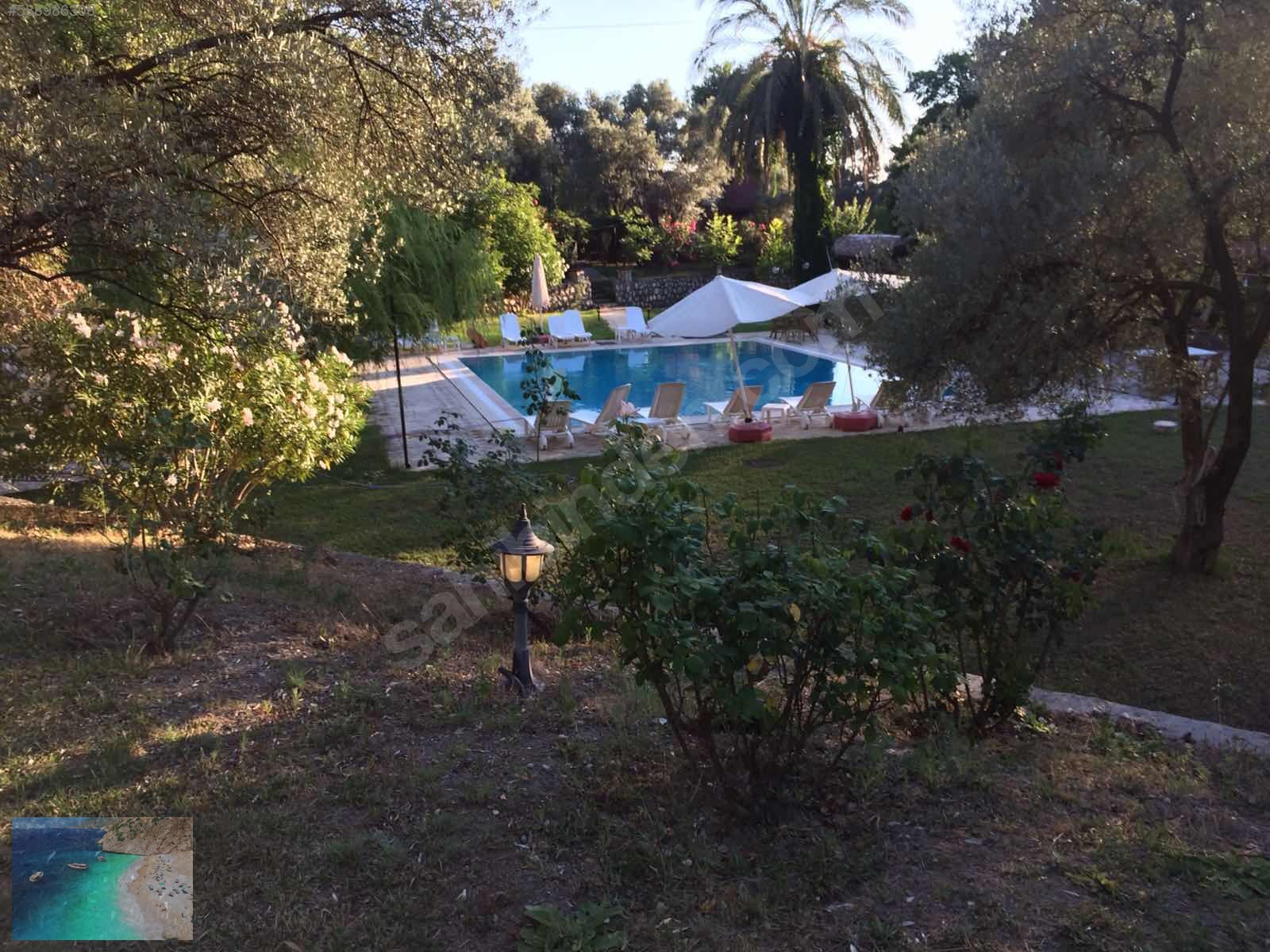 Kaş kalkanda 1+1 bungulov evler Günlük Kiralık Daire İlanları