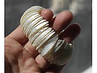 Vintage Sedef bilezik / bileklik