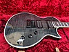 LTD Elektro Gitar