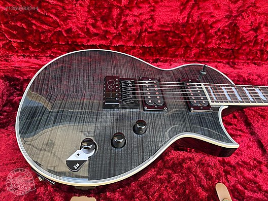 LTD Elektro Gitar
