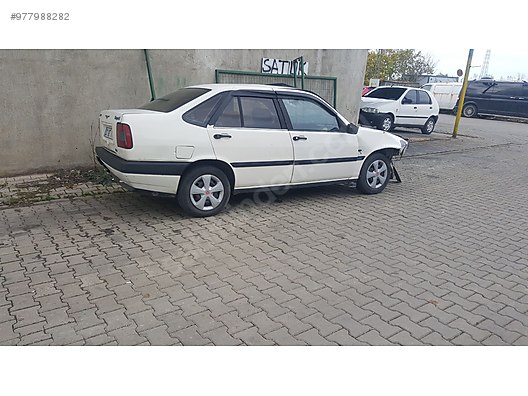 kilimali muayene li satis hazir turkiye nin ilan sitesi sahibinden com da 977988282