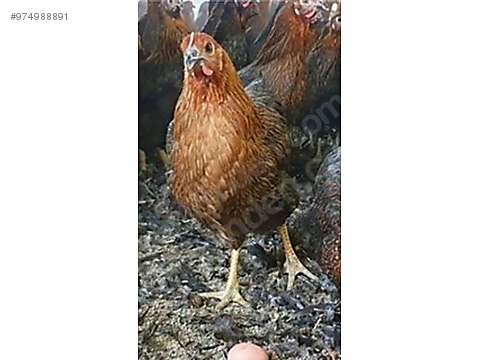 Fxfotbzxhegycm Fxfotbzxhegycm