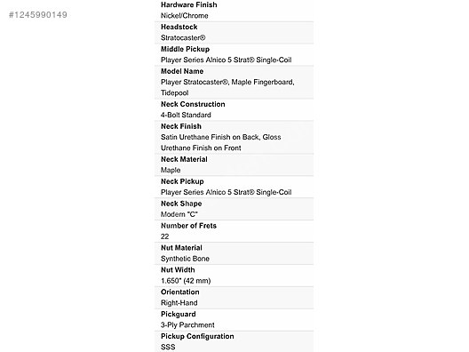 Fender Elektro Gitar