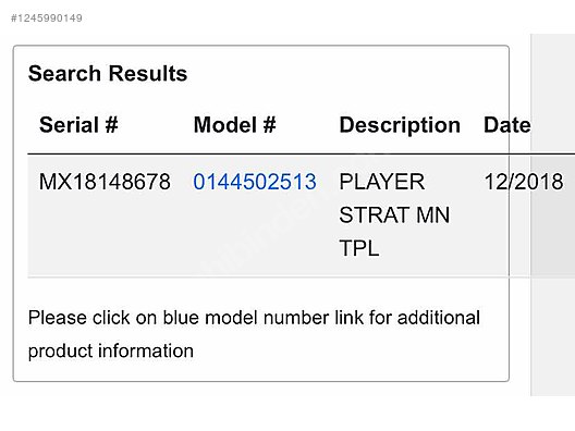 Fender Elektro Gitar