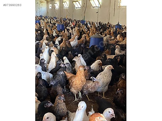 Ultjg 9zouzvgm Ultjg 9zouzvgm