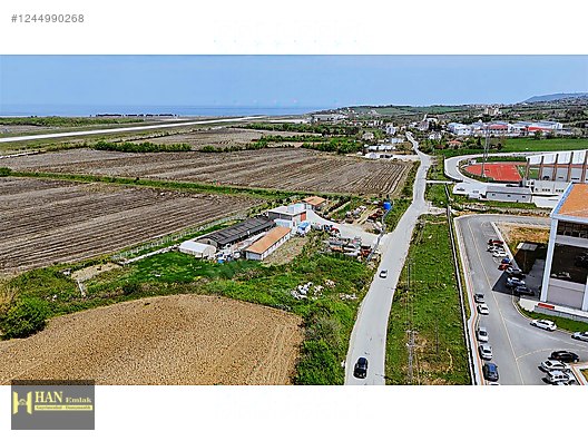 Sinop Merkez Osmaniye Üniversite Karşısı Satılık 24 Dönüm Tarla #1244990268