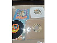 4 adet nese karaböcek 45 lik plak