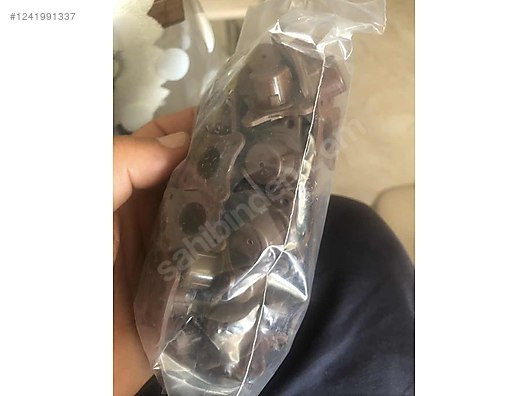 Hayvanlar Alemi / Böcekler / Arı