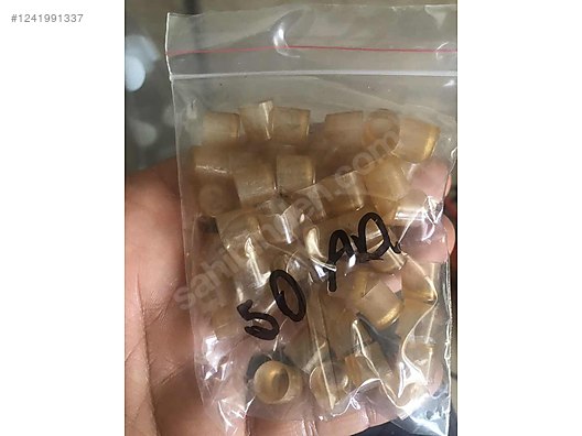 Hayvanlar Alemi / Böcekler / Arı