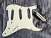 Squier Elektro Gitar