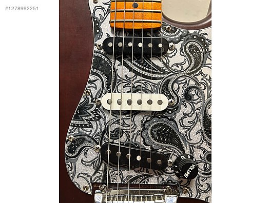 Fender Elektro Gitar