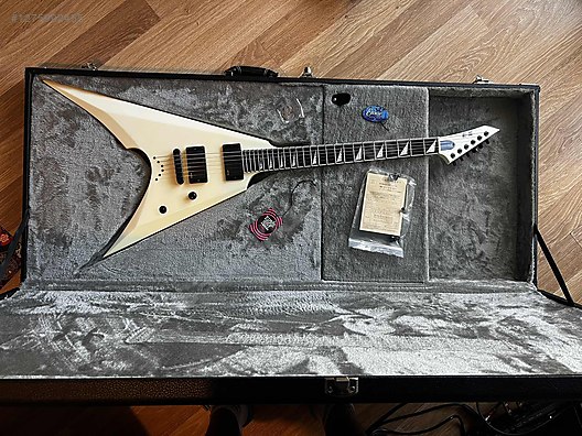ESP Elektro Gitar