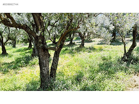 sahibinden satilik satilik arsa ilanlari sahibinden com da 838992744