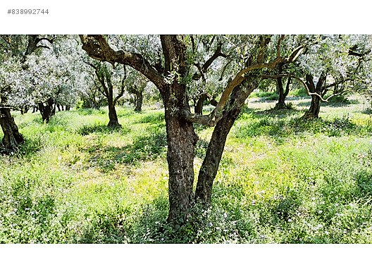 sahibinden satilik satilik arsa ilanlari sahibinden com da 838992744