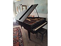 1968 G. Steinweg Kuruklu Piyano - İlk Sahibinden