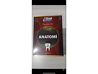 Anatomi şampiyonlar notu