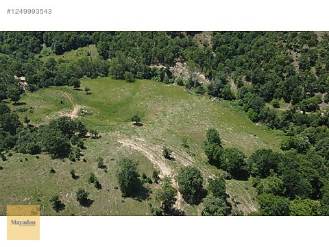 MAYADAN KUZULU'DA 4.692M2 SATILIK ARAZİ