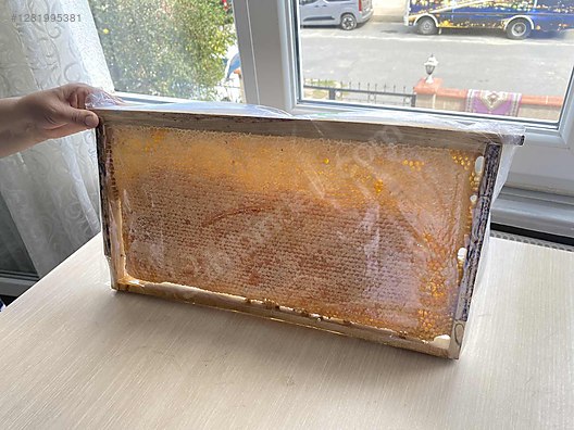 İkinci El ve Sıfır Alışveriş / Yiyecek & İçecek / Şarküteri / Bal