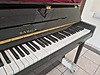 Used & Brand New Items / Music / Musical Instruments / Keyboard Instruments / Piano