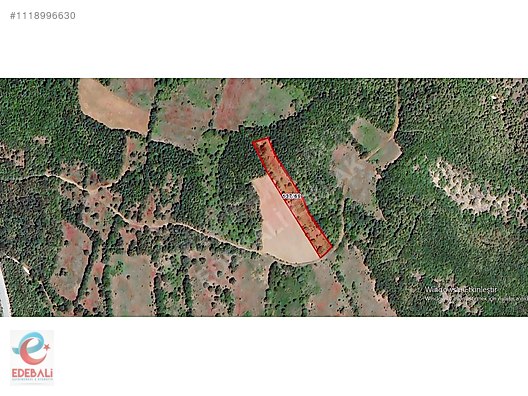 SATILIK BAHÇE 2.791 m2 SÜTLÜKTE YOLU MEVCUT #1118996630