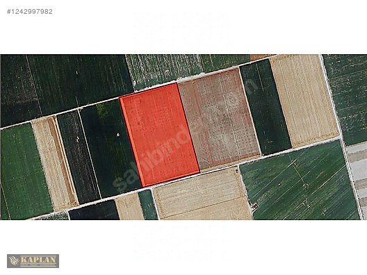 KAPLAN MÜTEAHHİTLİKTEN KAYACIKTA YATIRIMLIK TARLA #1242997982