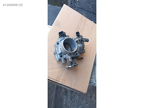 12689981258u5.jpg