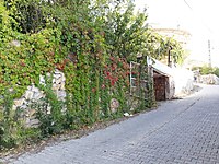 hatay satilik mustakil ev fiyatlari sahibinden com da 3